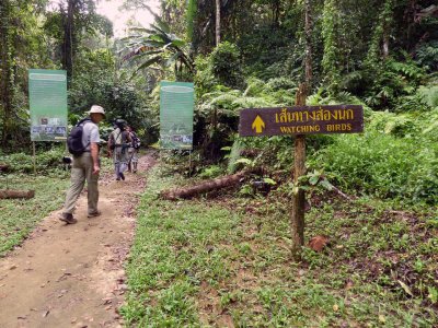 Start of Rail Babbler trek