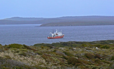 Port Ross at Enderby Island