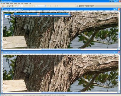 SCREEN_SHOT1DMKIIn-JPG_vs_C1-FLEXSharp-1.jpg