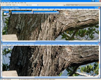 SCREEN_SHOT1DMKIIn-JPG_vs_JPG-FLEXSharp-2.jpg