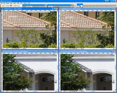 SCREEN_SHOT1DMKIIN_vs_5D-Sharpness-4.jpg