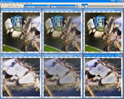 SCREEN_SHOTSigmaSDX-ACR_Tom_FLEXStudio-1.jpg