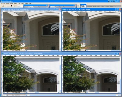 SCREEN_SHOT1DMKIIN_vs_5D-Sharpness-5.jpg
