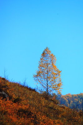 XinJiang - Hemu In the Morning Sep 11 ݤ줧