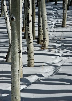 20110116-DSCN0377.jpg