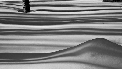 20110116-DSCN0414.jpg