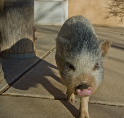 20110117-DSCN0524.jpg