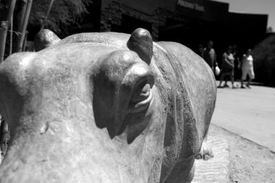 bw_hippo_statue_s.jpg