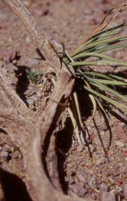 leica_scan_19.jpg