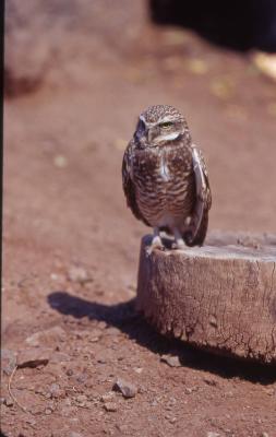 leica_scan_20.jpg