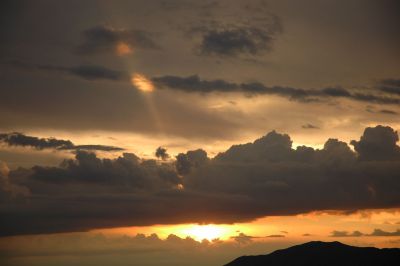 DSC_3509_s.jpg