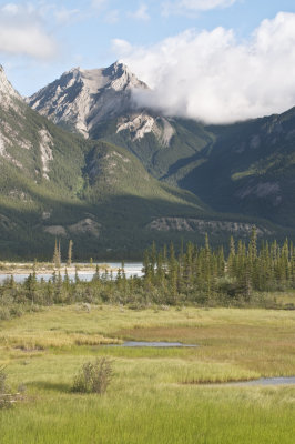 Some Mountain in Jasper