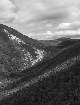 Katahdin and Coe from OJI