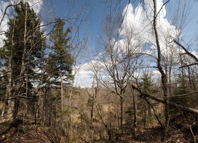 Terrace Overlook