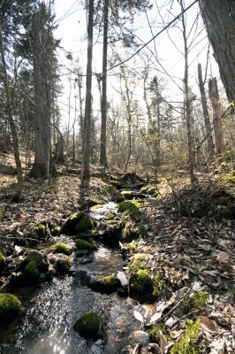 Stream 1