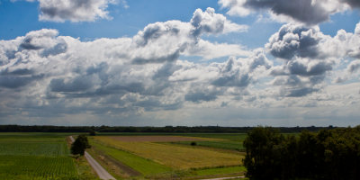 Rielsche heide