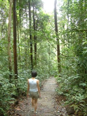 bt_timah014.jpg