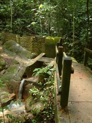 bt_timah015.jpg