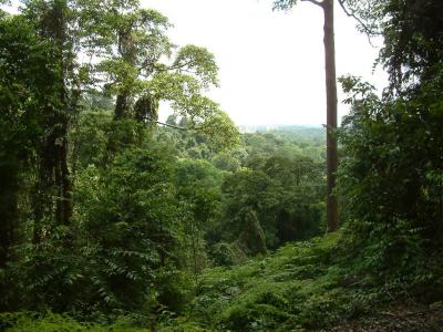 bt_timah020.jpg