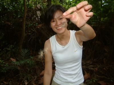 bt_timah035.jpg