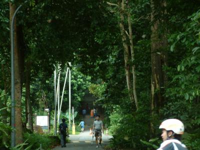 bt_timah036.jpg