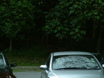 bt_timah037.jpg