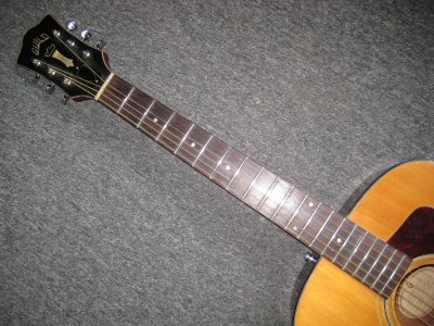 Neck 68 F30.jpg