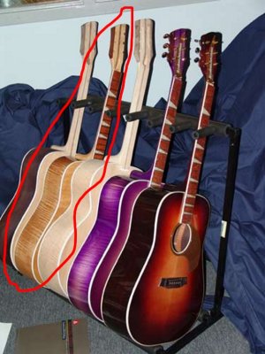 PW RIC Amber acoustics.jpg
