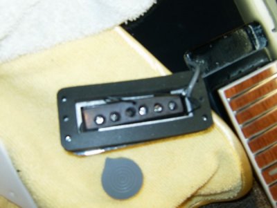 hg 6.jpg