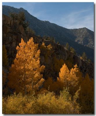 Late afternoon rays