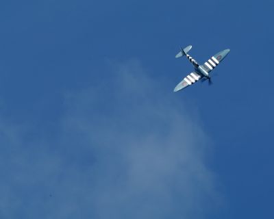 g4/73/235673/3/63373954.tAcqwHl6.jpg