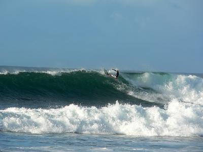 Surfing1.jpg