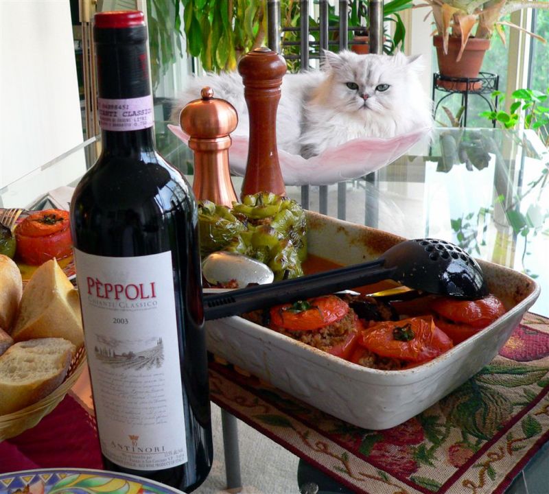 Classic Chianti... And Classic Chinchilla !