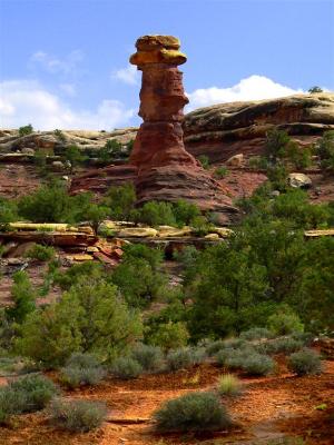 Lonely Hoodoo In Needles