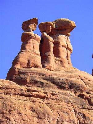 Notre Dame Gargoyles By Desert