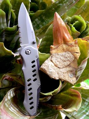 Jurassic And Modern Survival Tools