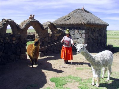 Aymara Lady With Alpacas, Sillustani