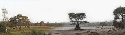 rondvenzomerwinterpano02.jpg