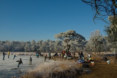 IMGP3277-1.jpg