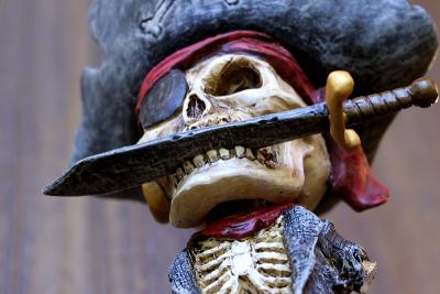 g4/73/422073/3/61064759.pirate.IMG_1532.jpg