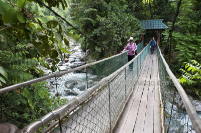 Bridge Crossing