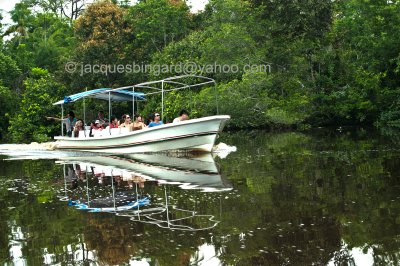 Boating on Borneo River