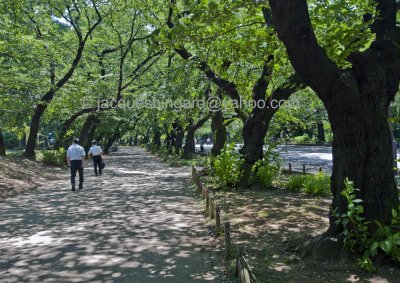 Ueno Park