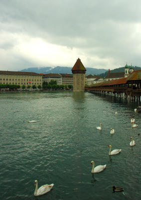 Lucerne