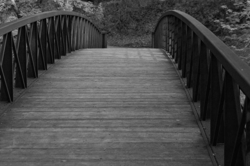 River Walk May 3