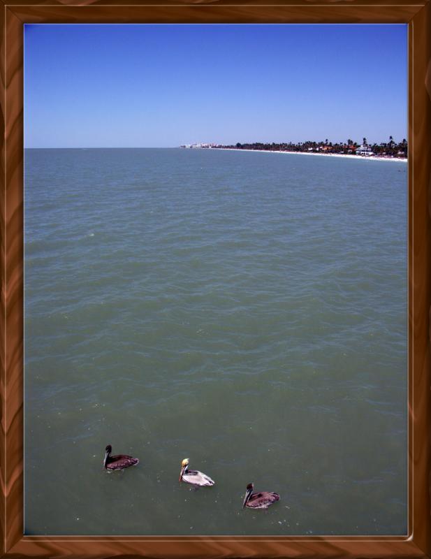 South of Pelican Bay