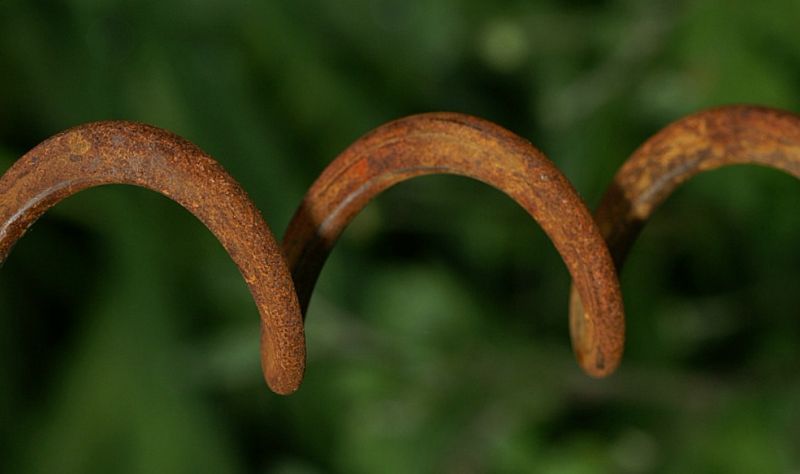 Another Squiggle