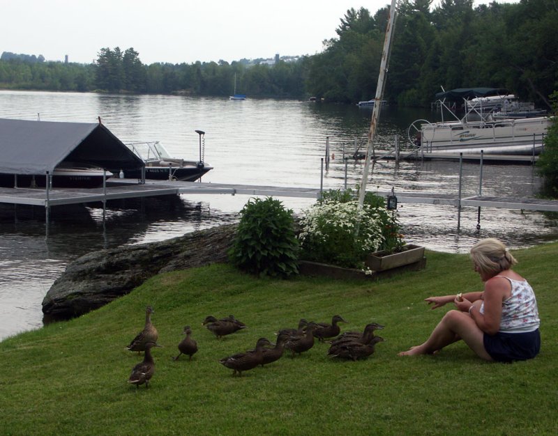 Dinner on Lake Carmi