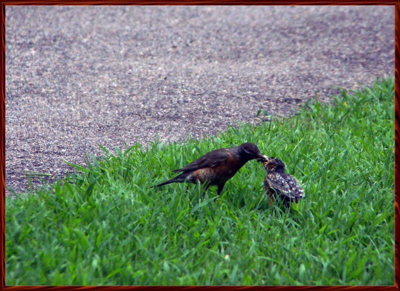 A Midday Snack (from Mom)