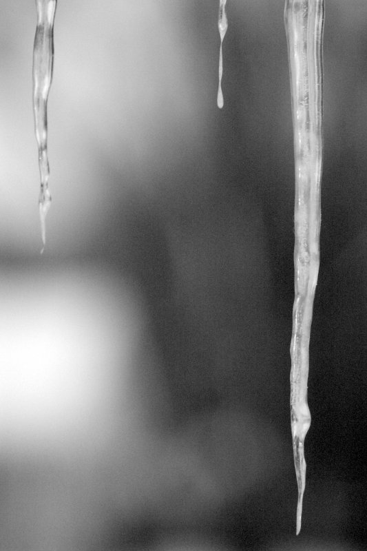 Icicle